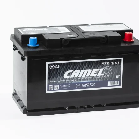 CAMEL 12V 80.0 L4 EFB